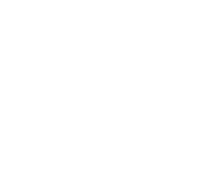 LOGO TVE